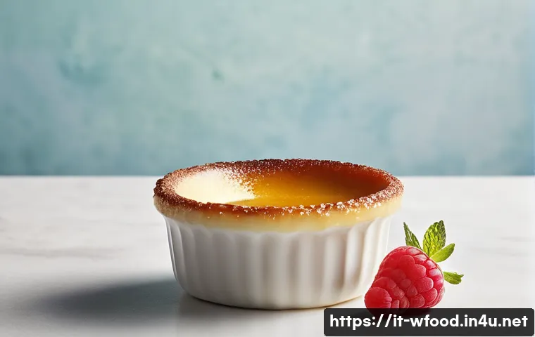 크렘브륄레 만드는 법 - A close-up, high-resolution image of a classic crème brûlée dessert served in an elegant white ceram...